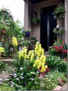 黄色やピンクや紫の花が植えてある玄関の写真